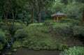 zen garden waterfall 1980s 1990s A4 Photo Print