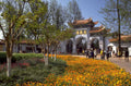 zhejiang university bloom 1980s 1990s A4 Photo Print