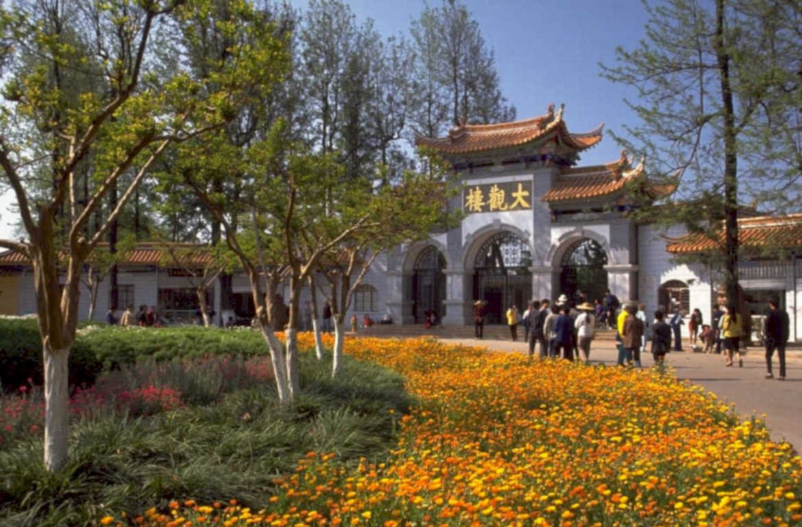 zhejiang university bloom 1980s 1990s A4 Photo Print