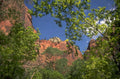 zion canyon redrock 1980s 1990s A4 Photo Print