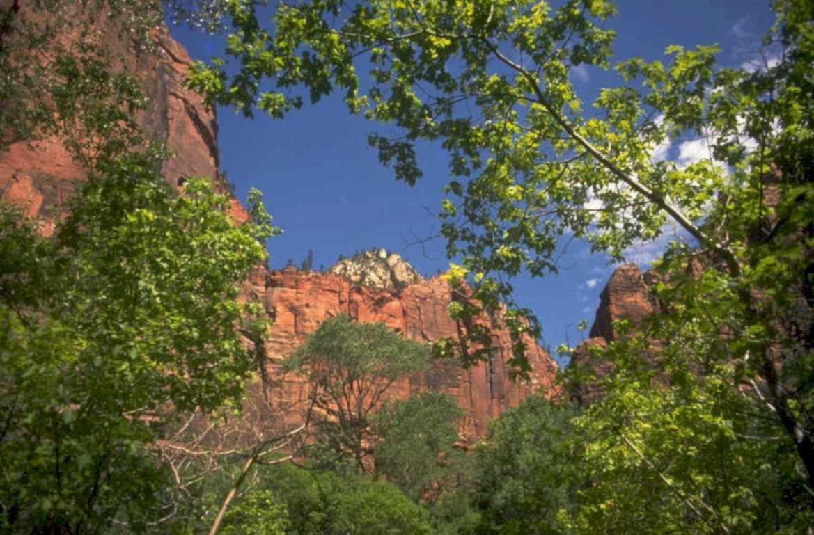 zion canyon redrock 1980s 1990s A4 Photo Print