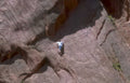 zion climb sandstone Vintage A4 Photo Print