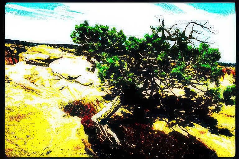 zion juniper cliffs Vintage A4 Photo Print