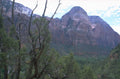 zion red trees 1980s 1990s A4 Photo Print