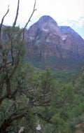zion sandstone watchman 1980s 1990s A4 Photo Print