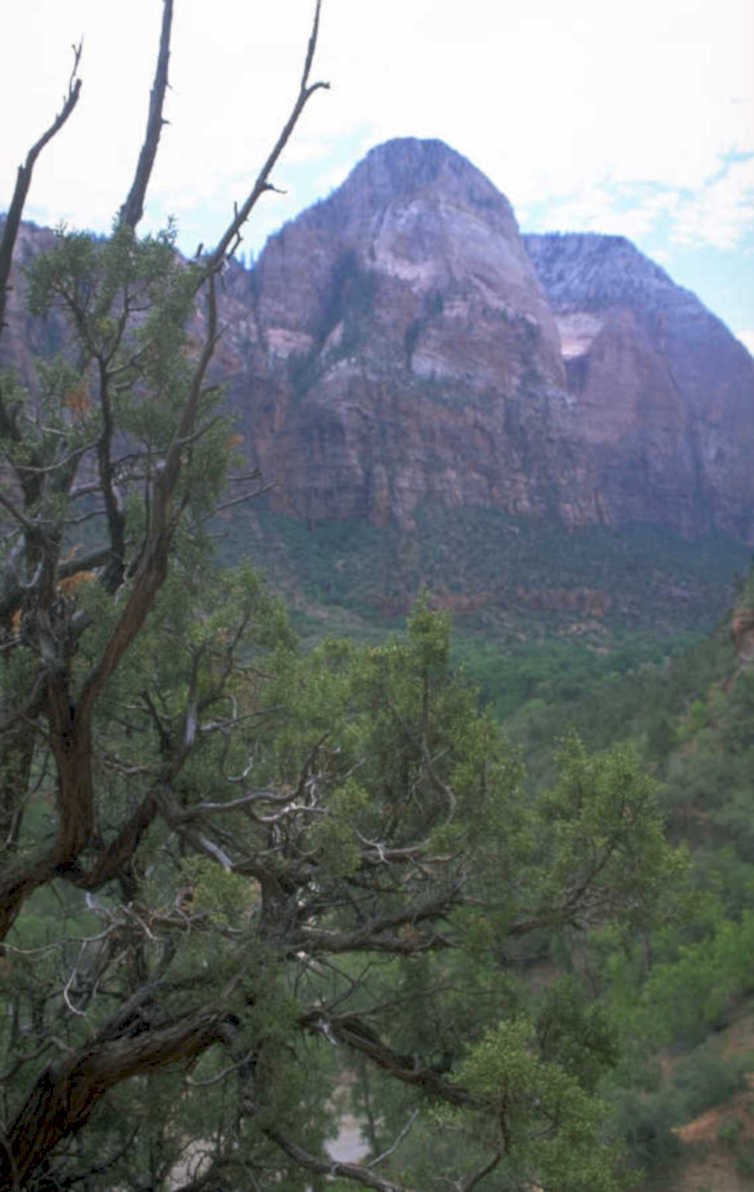 zion sandstone watchman 1980s 1990s A4 Photo Print