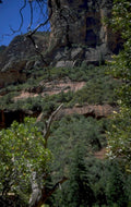 zion temple landscape 1 1980s 1990s A4 Photo Print