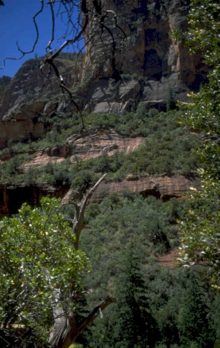 zion temple landscape 1 1980s 1990s A4 Photo Print