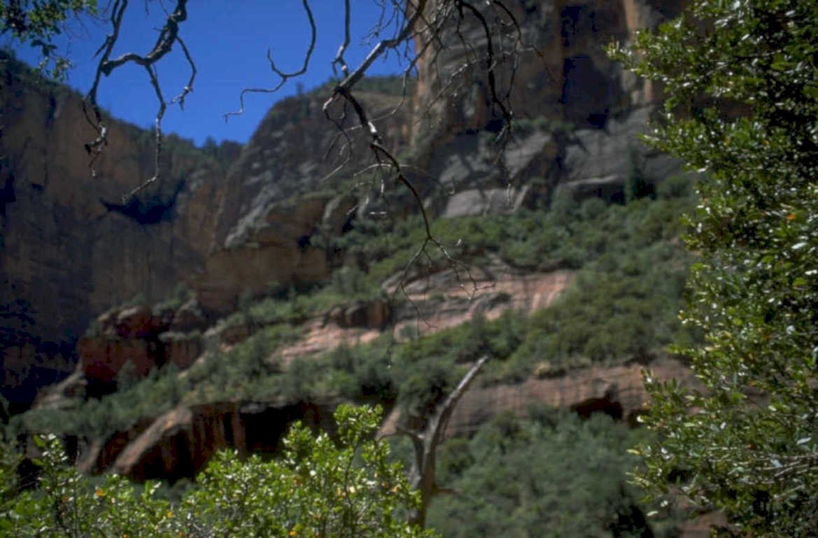 zion temple sandstone 1980s 1990s A4 Photo Print