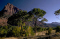 zion watchman twilight 1980s 1990s A4 Photo Print