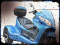 zodiac 300 trike Ice Bear A4 Photo Print Motorbike Vintage Aged