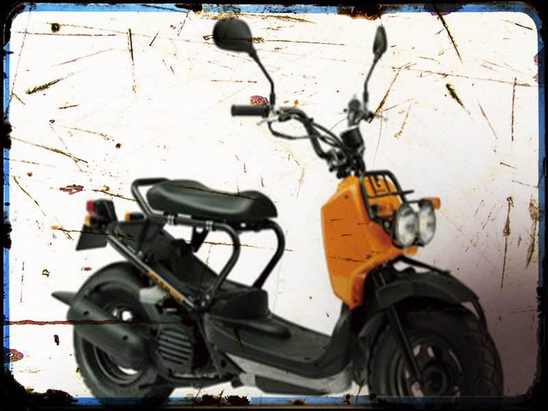 zoomer Honda A4 Photo Print Motorbike Vintage Aged