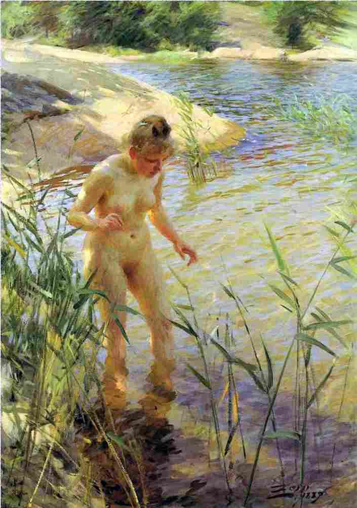 zorn Reflexions Art A4 Photo Print