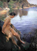 zorn Sandhamn Art A4 Photo Print