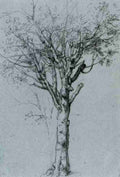 ztree Art A4 Photo Print