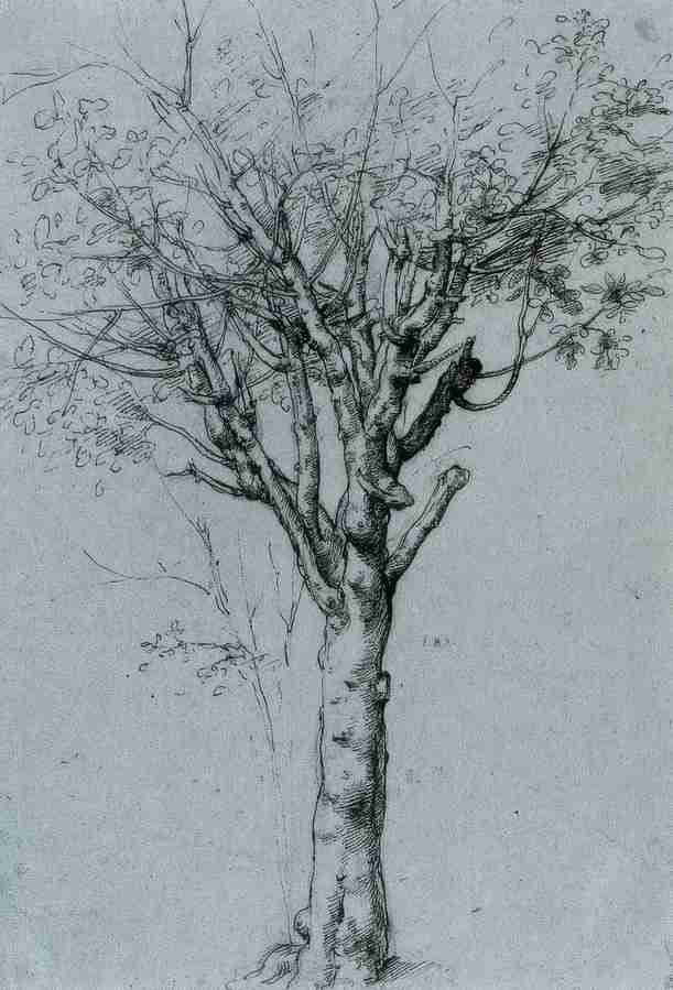 ztree Art A4 Photo Print