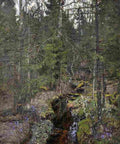 zukowski forest Art A4 Photo Print