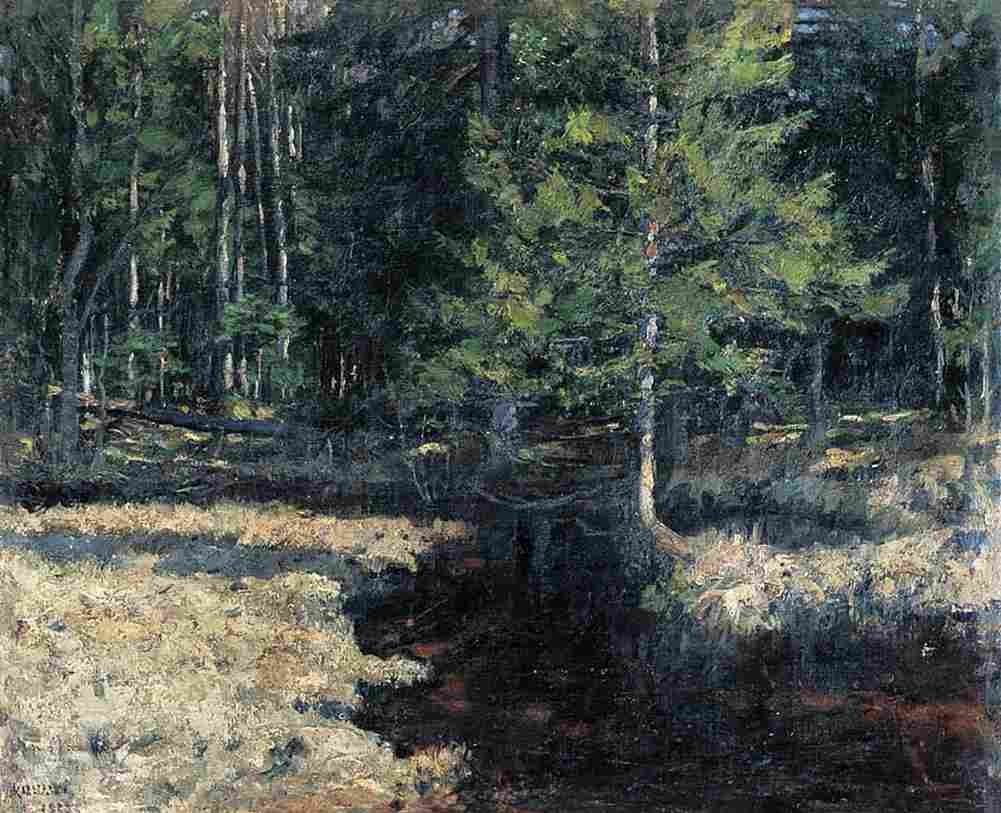 zukowski forest interior Art A4 Photo Print